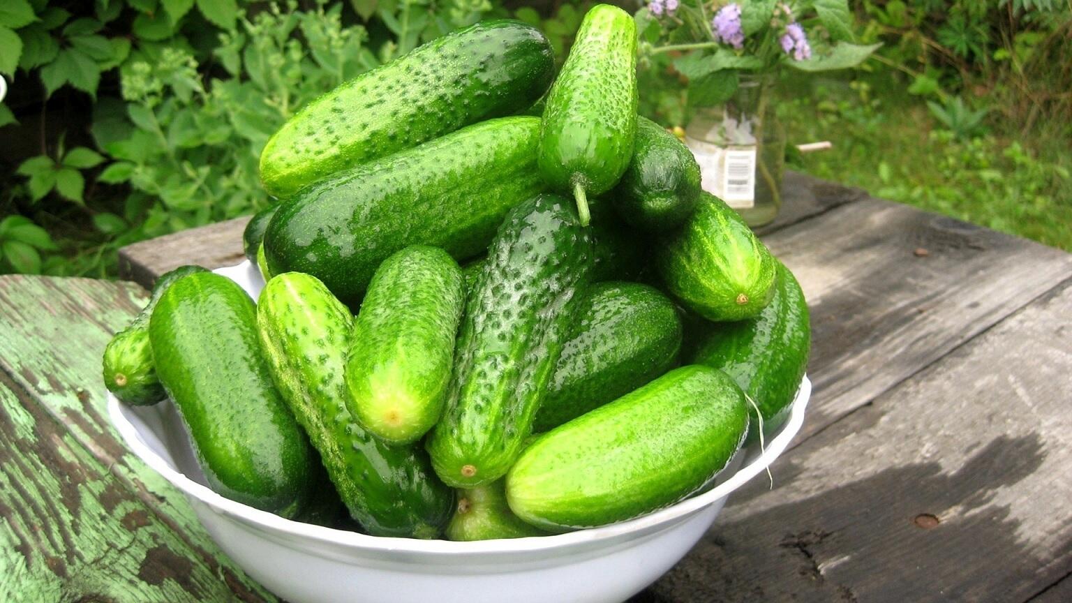 8 Makanan Paling Ampuh Mengecilkan Perut Buncit, Sudah Tahu?