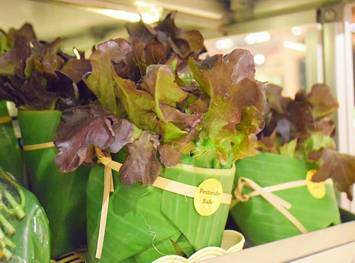 9 Foto viral supermarket jual produk dibungkus daun pisang, salut