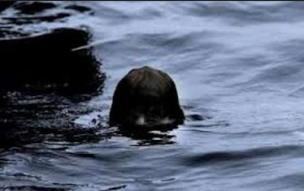Hantu-hantu yang Melegenda dari Tanah Borneo Kalimantan