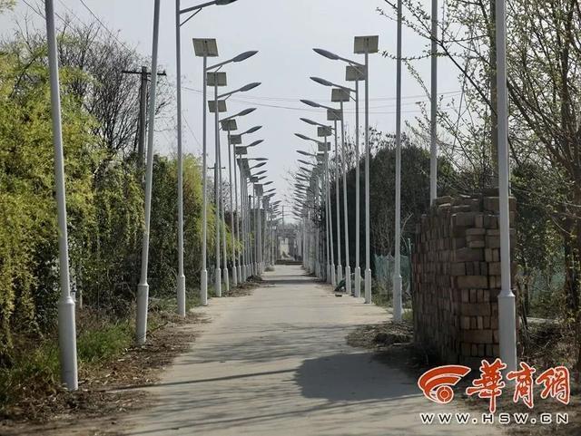 Ada 1000 Lampu Jalan di Sepanjang 3 KM Jalanan Desa Ini Gan!