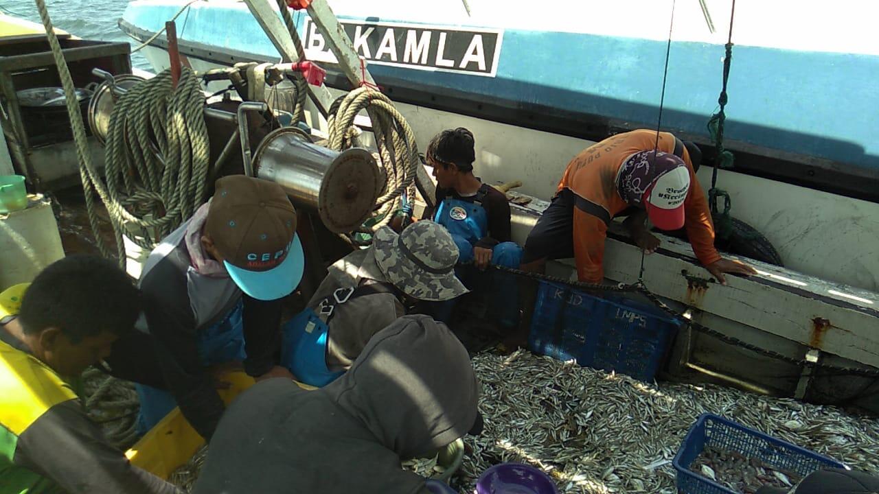 Keamanan Laut Terjaga, Hasil Laut pun Melimpah