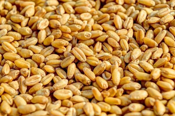 7 Makanan Enak yang Aman Dikonsumsi Saat Menjalankan Diet Diabetes
