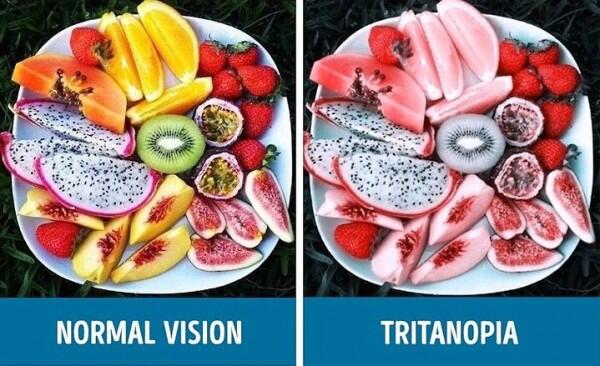 8 Gambar Bedanya Apa Dilihat Orang Normal vs Buta Warna Tritanopia