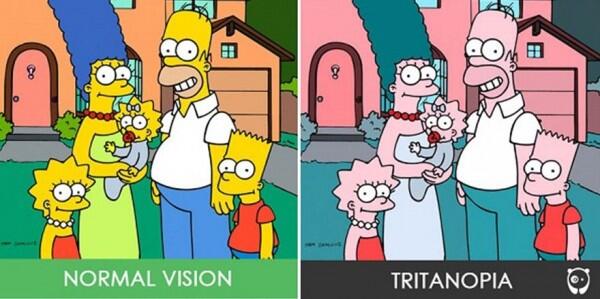 8 Gambar Bedanya Apa Dilihat Orang Normal vs Buta Warna Tritanopia