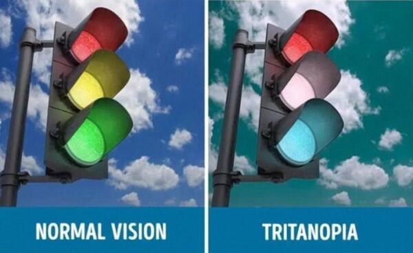 8 Gambar Bedanya Apa Dilihat Orang Normal vs Buta Warna Tritanopia