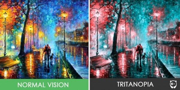 8 Gambar Bedanya Apa Dilihat Orang Normal vs Buta Warna Tritanopia