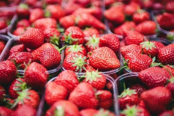 5 Makanan Terbaik yang Wajib Dikonsumsi Ibu Hamil