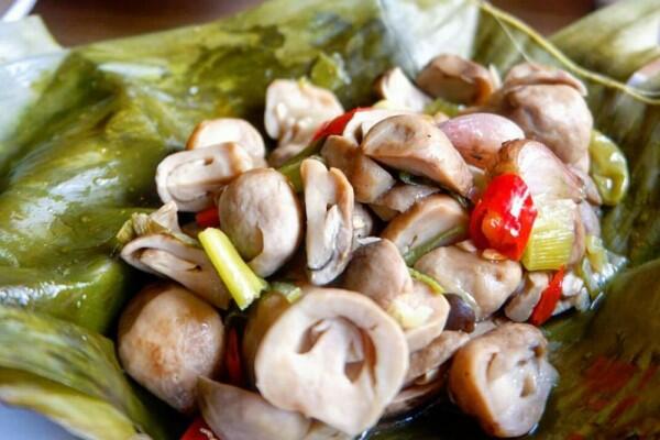 Yuk, Coba 5 Resep Kuliner Jamur yang Super Lezat Ini!