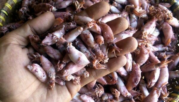 Singgah ke Cilacap, Ini 8 Makanan Khas yang Layak Dijadikan Oleh-oleh