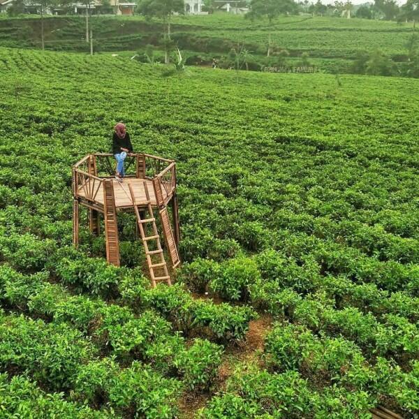 6 Wisata Alam Karanganyar yang Sejuk, Memesona, dan Instagramable
