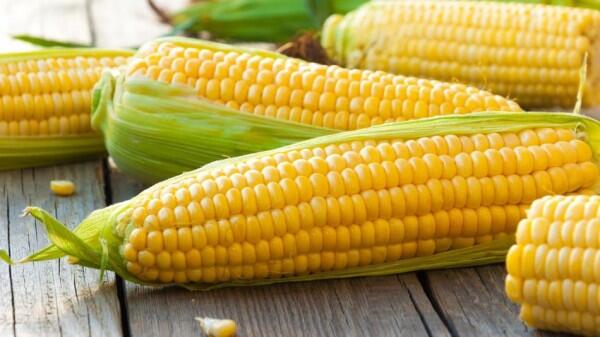 Sering Kamu Temui, 6 Makanan Ini Ternyata Hasil Rekayasa Genetika