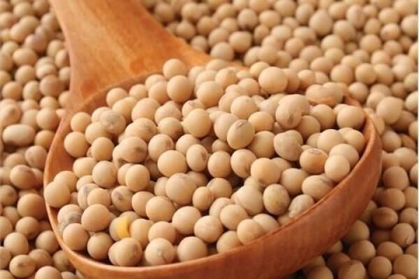 Sering Kamu Temui, 6 Makanan Ini Ternyata Hasil Rekayasa Genetika