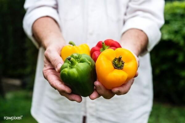 Terungkap, Inilah 7 Manfaat Ajaib Paprika untuk Tubuh Kita