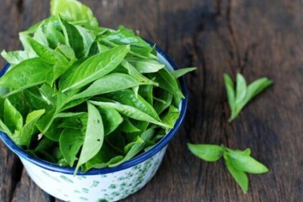 6 Bahan Alami Penghilang Bau Badan Tanpa Efek Samping