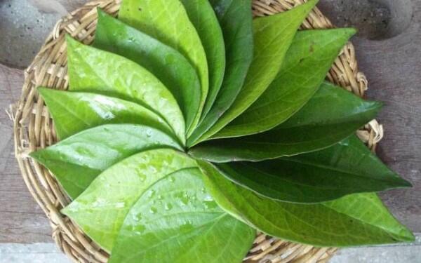 6 Bahan Alami Penghilang Bau Badan Tanpa Efek Samping