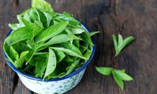 6 Bahan Alami Penghilang Bau Badan Tanpa Efek Samping