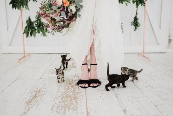 10 Ide Pose Foto Pernikahan yang Cocok buat Pasangan Pencinta Kucing