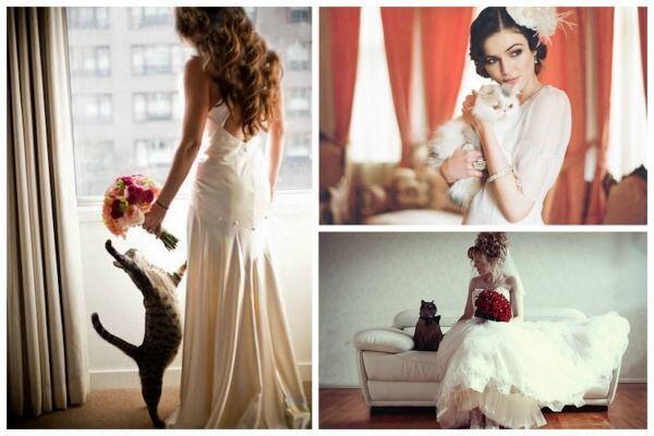 10 Ide Pose Foto Pernikahan yang Cocok buat Pasangan Pencinta Kucing