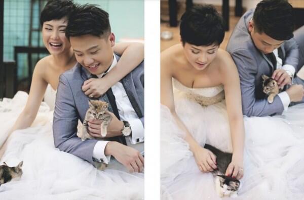 10 Ide Pose Foto Pernikahan yang Cocok buat Pasangan Pencinta Kucing