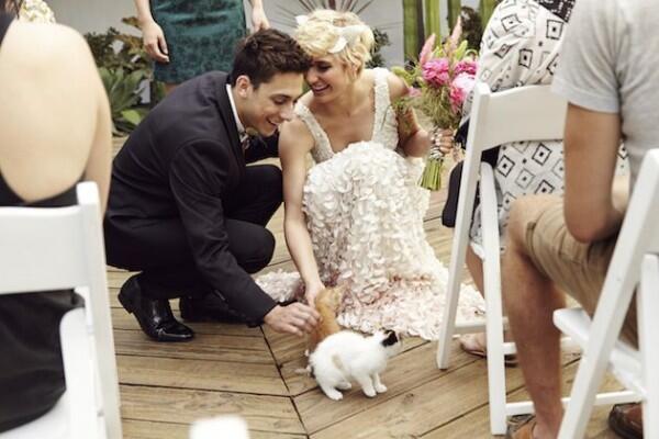 10 Ide Pose Foto Pernikahan yang Cocok buat Pasangan Pencinta Kucing