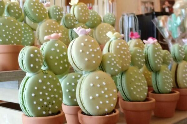5 Kreasi Unik Kue Macaron Berbentuk Kaktus, Si Manis yang Renyah!