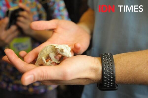 10 Potret Seru Ocean Park Animal Discovery Fest Hong Kong, Keren Abis