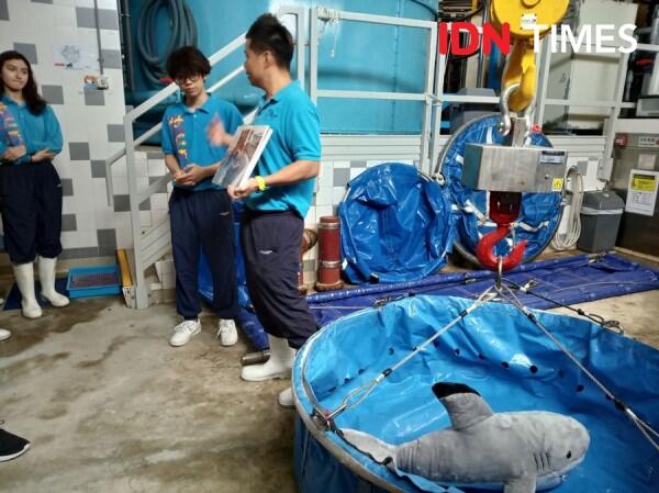 10 Potret Seru Ocean Park Animal Discovery Fest Hong Kong, Keren Abis