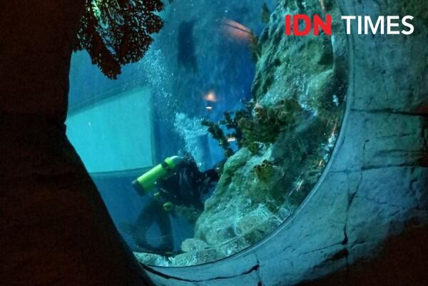 10 Potret Seru Ocean Park Animal Discovery Fest Hong Kong, Keren Abis