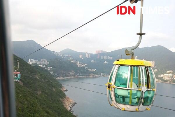 10 Potret Seru Ocean Park Animal Discovery Fest Hong Kong, Keren Abis
