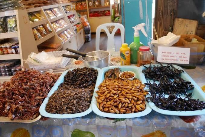 Makan Buaya Di Thailand, Enakk Lohh..