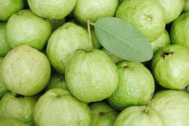 10 Manfaat kesehatan menakjubkan yang dimiliki jambu biji