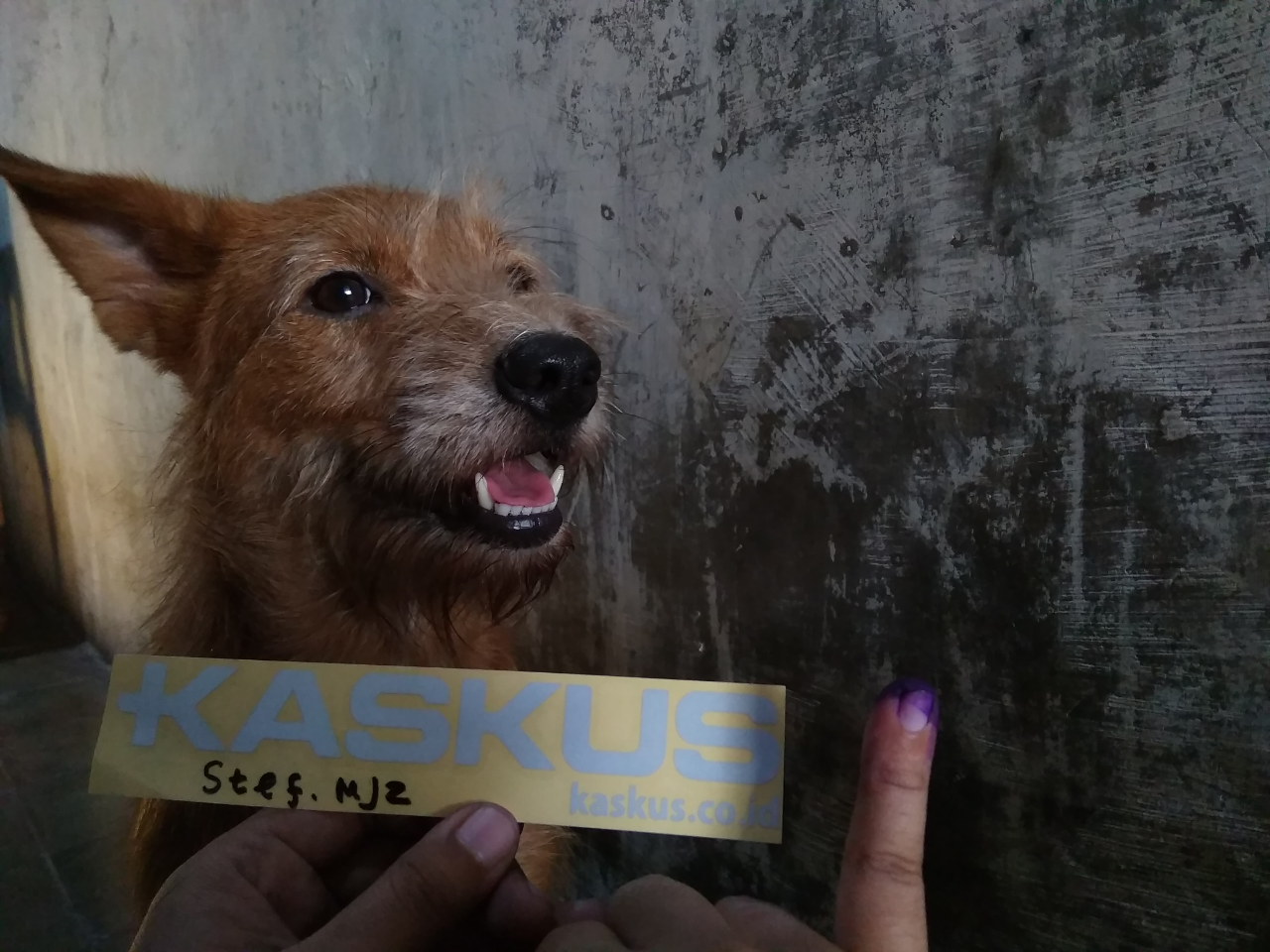Beda Pilihan? No Problem! Toh, Kitorang Tetap Basodara ~ 