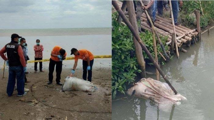 2 Pembuang 2 Mayat dalam Karung Ditangkap!