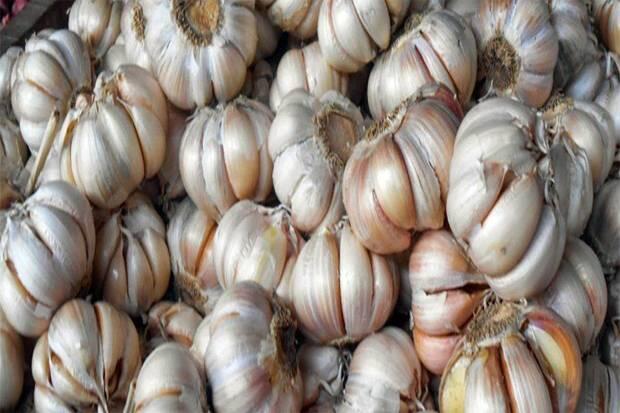 Ini Daerah yang Harga Bawang Putihnya Lebih Tinggi