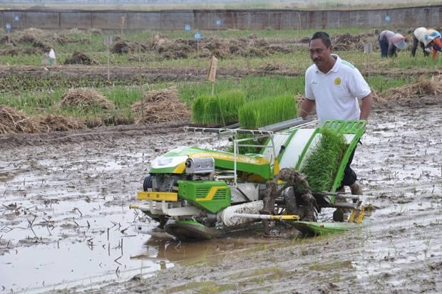 Transplanter Jadi Andalan Ditjen PSP Tingkatkan Produksi Pertanian