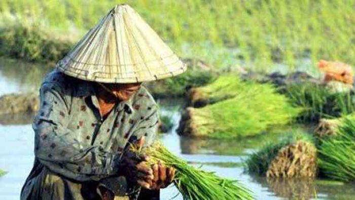 Petani Sejahtera, Mimpikah?