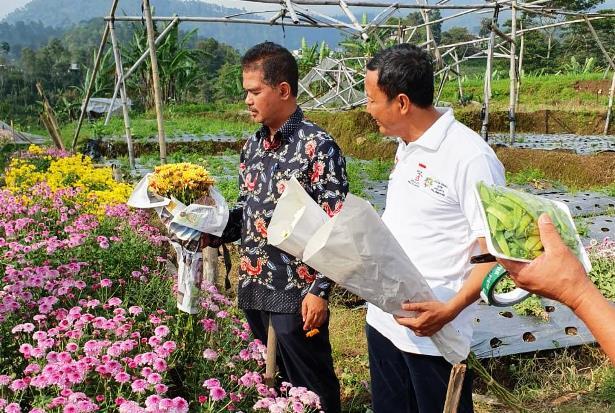 Sentra Tanaman Hias di Tawangmangu Terus Dikembangkan