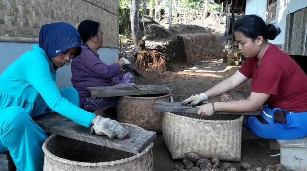 Shofi Fajriah Ilmi, Berdayakan Perempuan Desa Melalui Bisnis Porang