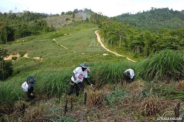 Global Wakaf ACT Hasilkan Minyak Atsiri 175 kg dalam Setahun