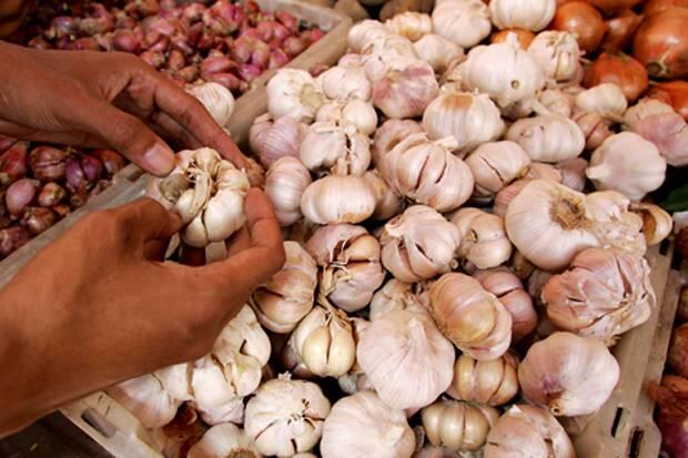 Kebijakan Mendag Tahan Impor Harus Diperkuat Produksi Bawang Putih