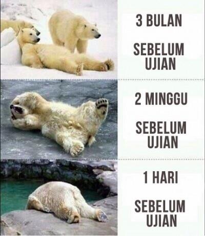 6 Masalah Utama dalam Belajar dan Solusinya