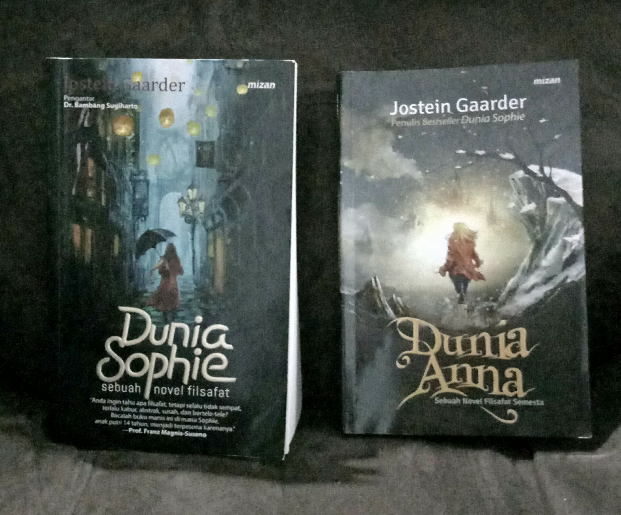 Filsafat Yang Mudah Dipahami Dalam Novel Karya Jostein Gaarder 