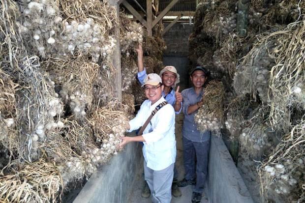 Kementan Dorong Sukabumi Jadi Sentra Bawang Putih