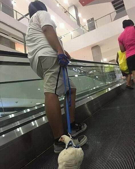 10 Kelakuan Orang Aneh yang Tertangkap Kamera. No 5 Kok Bisa Ya???
