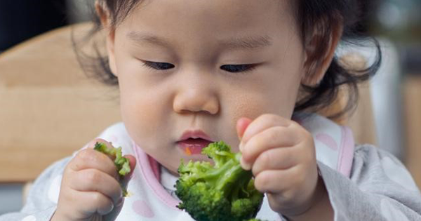 Berikan Finger Food Bergizi Ini Untuk Si Kecil, Moms!