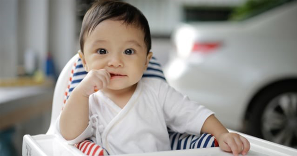 Berikan Finger Food Bergizi Ini Untuk Si Kecil, Moms!