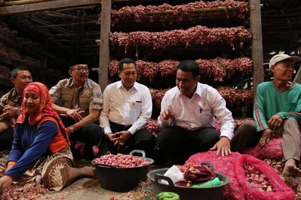 Harga Bawang Melonjak, Mentan Fokus Tingkatkan Produksi