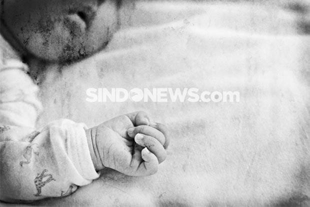 Dibuang dalam Kardus, Bayi Perempuan Ditemukan Masih Hidup