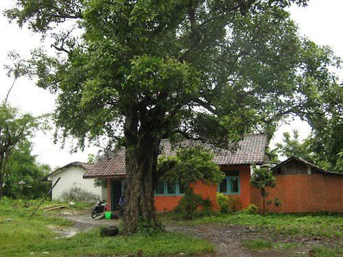 Mimpi-mimpi Sang Buruh Aksara