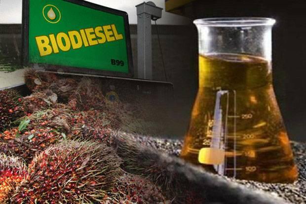 Harga Referensi Periode Mei 2019 Naik, CPO Masih Bebas Bea Keluar